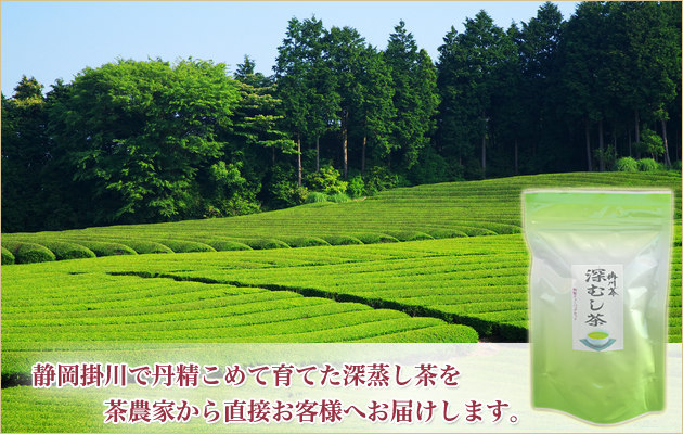 静岡のお茶屋 うぐいす堂 静岡掛川で丹精こめて育てた深蒸し茶を茶農家から直送でお客様へお届けします。