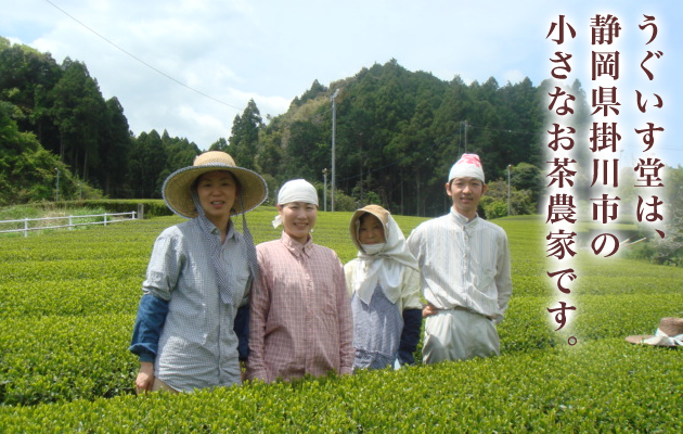 うぐいす堂は静岡県掛川市の小さなお茶農家です